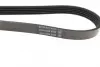 Ремень поликлиновой dayco 5PK1450