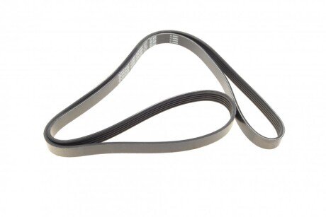 Приводной ремень генератора dayco 5PK1550