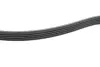 Ремень поликлиновой Dayco 5PK1572 (фото 3)