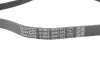 Ремень поликлиновой Dayco 5PK1572 (фото 4)