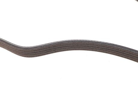 Приводной ремень генератора dayco 5PK1715S