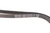 Ремень поликлиновой Dayco 5PK1715S (фото 4)