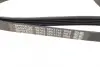 Ремень поликлиновой Dayco 5PK1745 (фото 3)