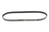 Ремень поликлиновой dayco 5PK880