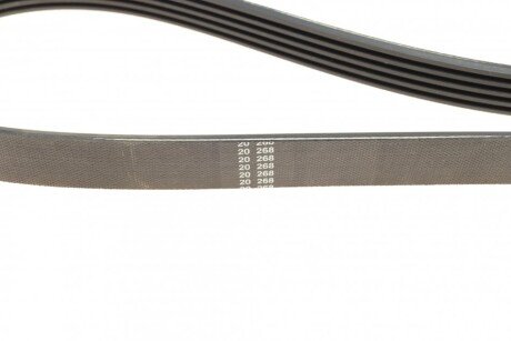 Приводной ремень генератора dayco 5PK926EE