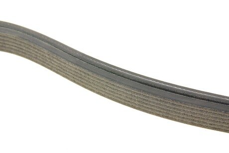 Привідний ремінь генератора dayco 6DPK1840