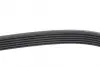 Ремень поликлиновой dayco 6PK1040
