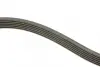 Ремень поликлиновой dayco 6PK1150