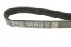 Ремень поликлиновой Dayco 6PK1152 (фото 4)