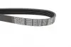 Ремень поликлиновой Dayco 6PK1155 (фото 2)