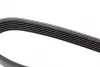 Ремень поликлиновой Dayco 6PK1155 (фото 4)