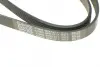 Ремень поликлиновой Dayco 6PK1217 (фото 3)