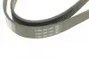 Ремень поликлиновой Dayco 6PK1217 (фото 4)