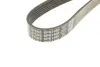 Ремень поликлиновой dayco 6PK1460