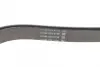 Ремень поликлиновой dayco 6PK1610HD