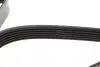 Ремень поликлиновой dayco 6PK1610HD