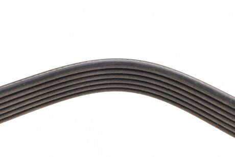 Привідний ремінь генератора dayco 6PK1670