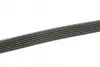 Ремень поликлиновой dayco 6PK1865