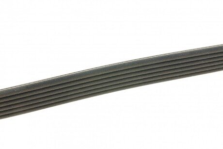 Привідний ремінь генератора dayco 6PK1865