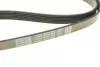 Ремень поликлиновой dayco 6PK1865
