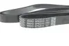 Ремень поликлиновой Dayco 6PK2515 (фото 4)