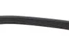 Ремень поликлиновой dayco 6PK2605
