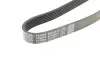 Ремень поликлиновой Dayco 6PK2615 (фото 5)