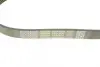 Ремень поликлиновой dayco 6PK900