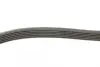 Ремень поликлиновой dayco 6PK900