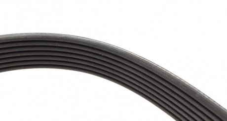 Привідний ремінь генератора dayco 7PK2876