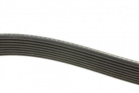 Привідний ремінь генератора dayco 8PK1295