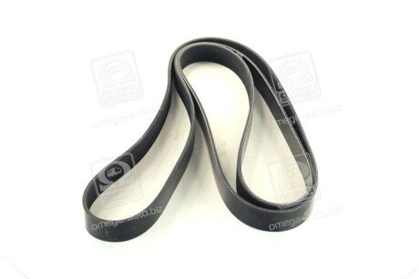 Привідний ремінь генератора dayco 8PK2440