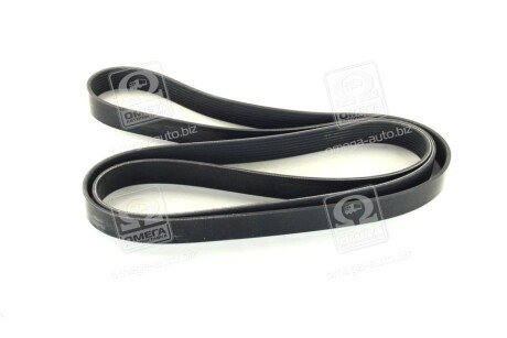 Привідний ремінь генератора dayco 8PK2440