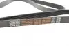 Ремень поликлиновой Sprinter Dayco 6PK2080HD (фото 3)