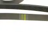 Ремень поликлиновый (пр-во DAYCO) Dayco 5PK2060 (фото 4)