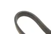 Ремень поликлиновый (пр-во DAYCO) dayco 6DPK1215