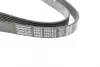 Ремень поликлиновый (пр-во DAYCO) dayco 6PK1372