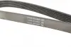 Ремень поликлиновый (пр-во DAYCO) dayco 6PK1372