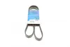 Ремень поликлиновый (пр-во DAYCO) dayco 6PK1372
