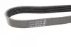 Ремень поликлиновый (пр-во DAYCO) dayco 6PK1744