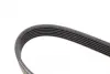 Ремень поликлиновый (пр-во DAYCO) dayco 6PK1744