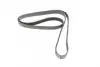 Ремень поликлиновый (пр-во DAYCO) dayco 6PK1744