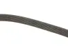 Ремень поликлиновый (пр-во DAYCO) dayco 6PK2000