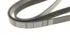 Ремень поликлиновый (пр-во DAYCO) dayco 6PK2000