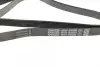 Ремень поликлиновый (пр-во DAYCO) dayco 6PK2203