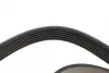 Ремень поликлиновый (пр-во DAYCO) dayco 6PK2203