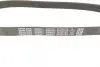 Ремень поликлиновый (пр-во DAYCO) dayco 6PK831EE