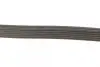 Ремень поликлиновый (пр-во DAYCO) dayco 6PK831EE