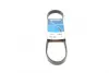 Ремень поликлиновый (пр-во DAYCO) dayco 6PK831EE