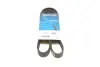 Ремень поликлиновый (пр-во DAYCO) dayco 7PK1127